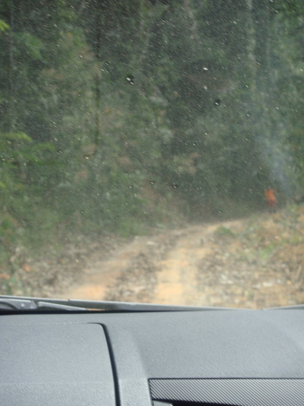 [DSC01108.JPG]
