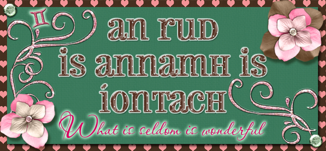 an rud is annamh is íontach
