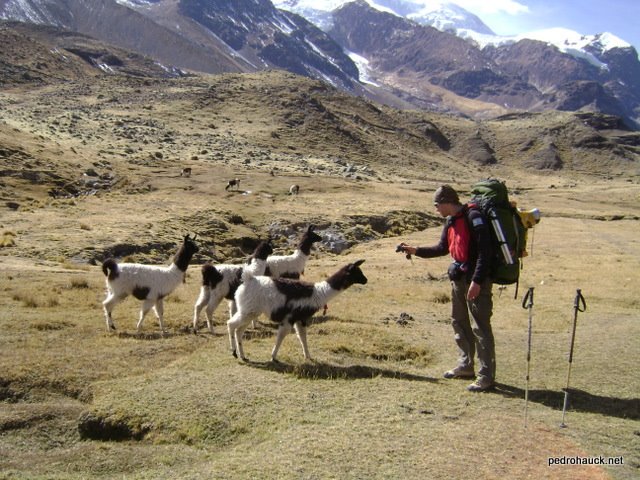 [DSC08916.JPG]