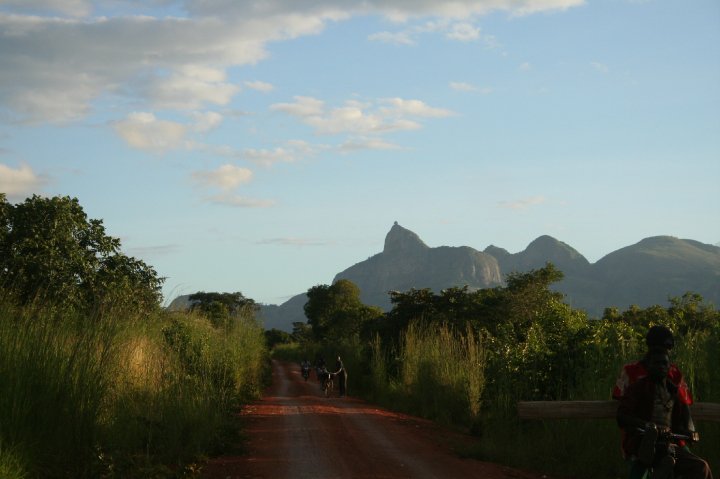 Parrot Macua Alto Molócué