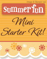 Summer Fun Demostartor Mini Starter Kit Special!