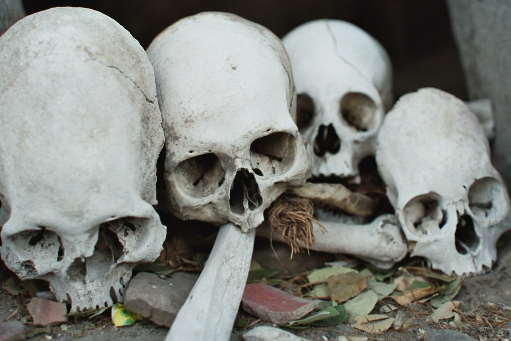[Peruvian+Skulls.jpg]
