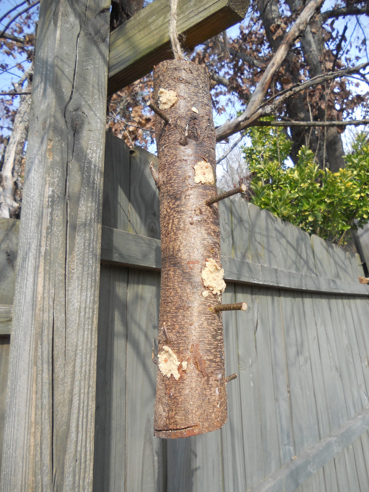 The Five of Us How to Make a Suet Log Feeder