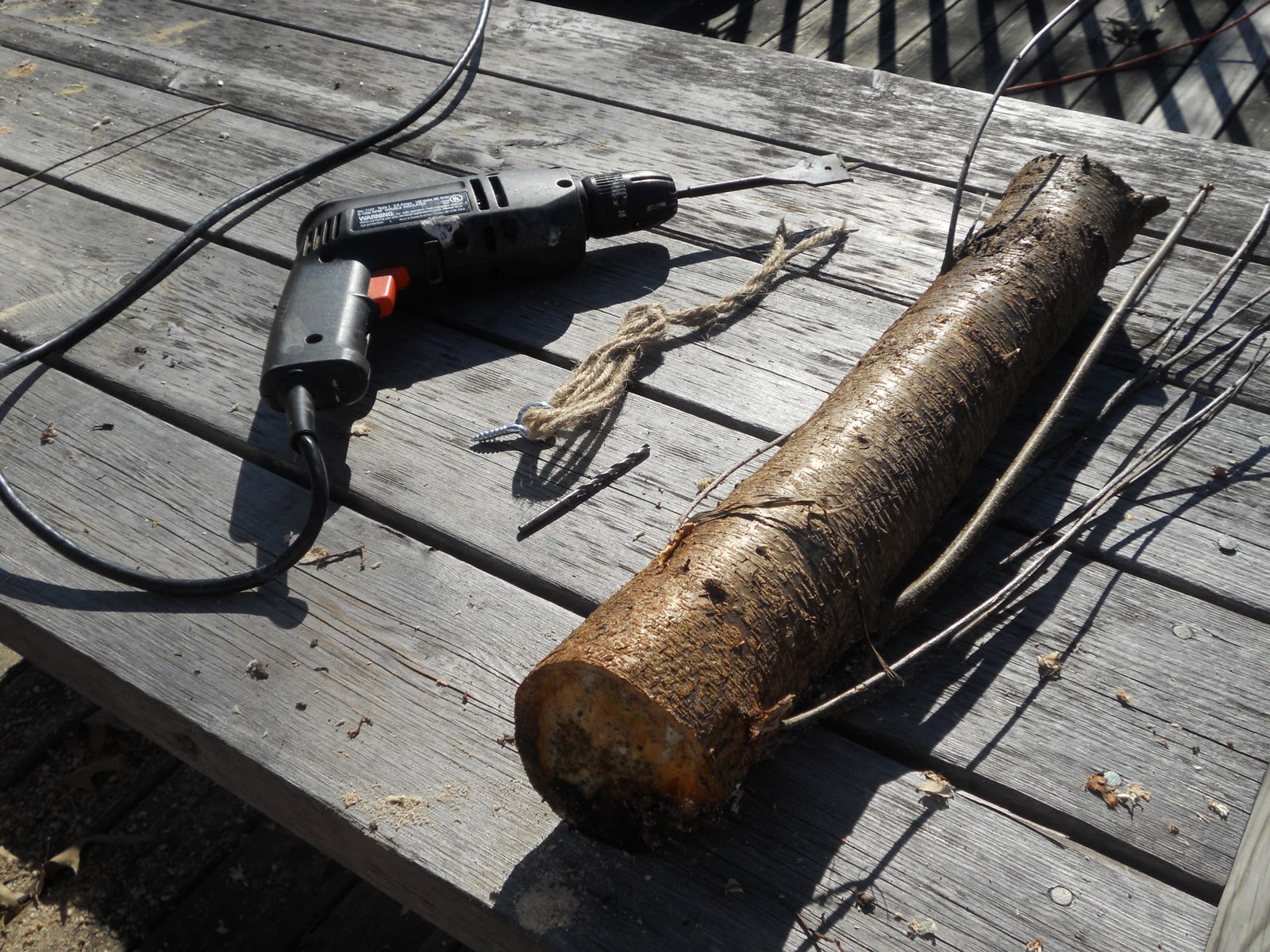The Five of Us How to Make a Suet Log Feeder