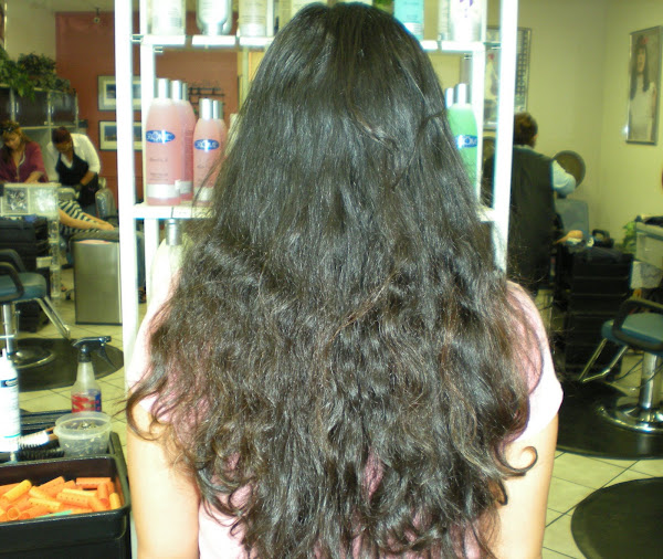 Hair Therapy on Before Keratin Complex Hair Therapy Treatment