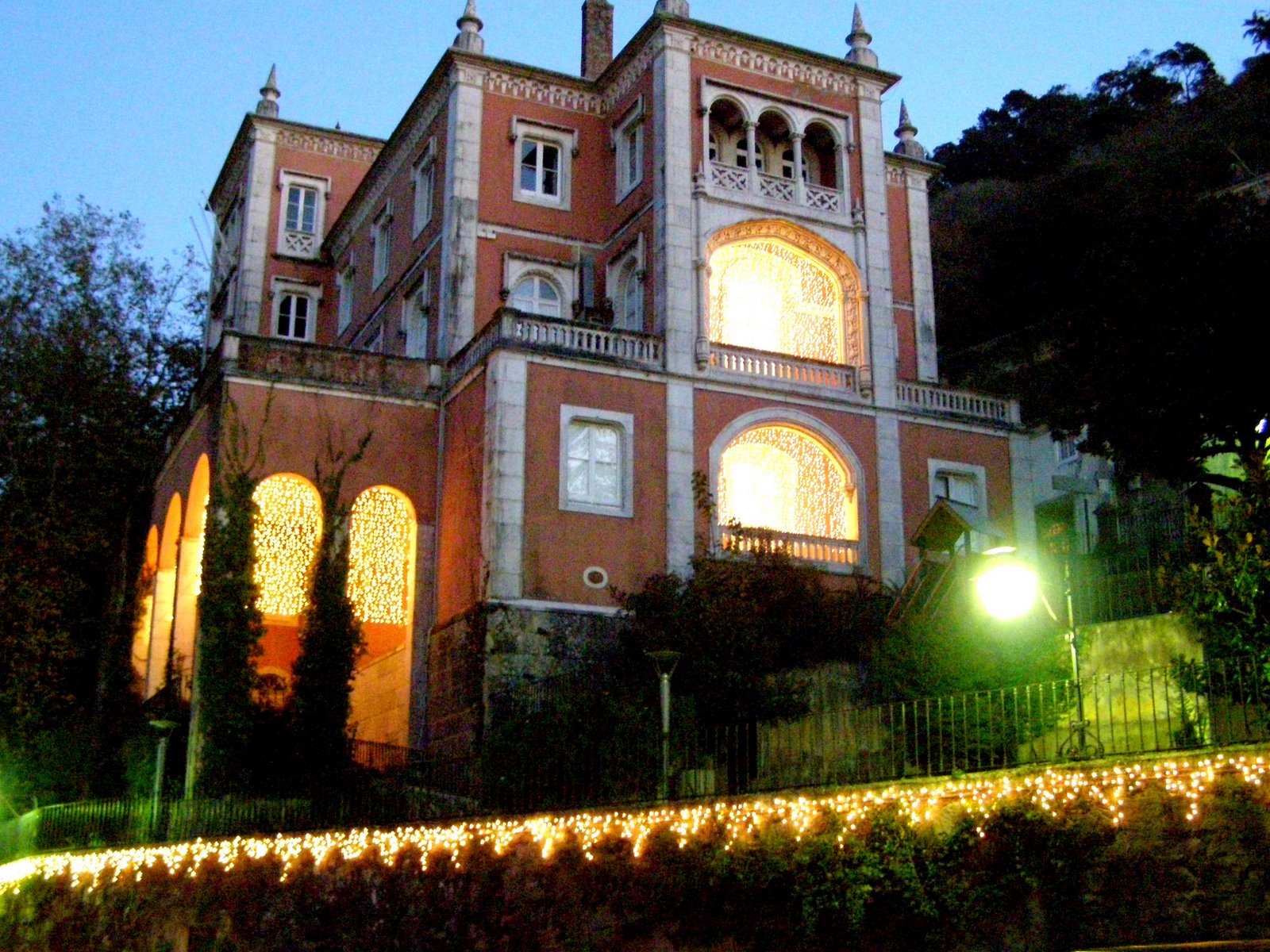 [PB240037-1.JPG]