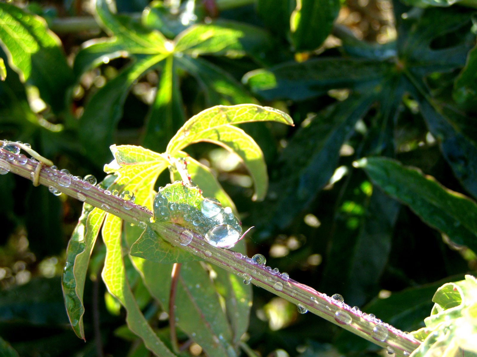 [PC020142-1.JPG]