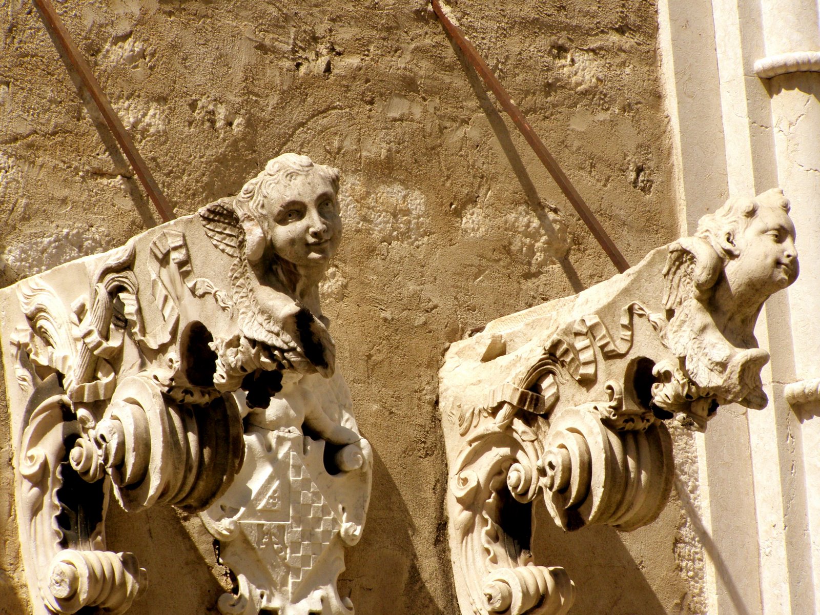 [P41800491.JPG]