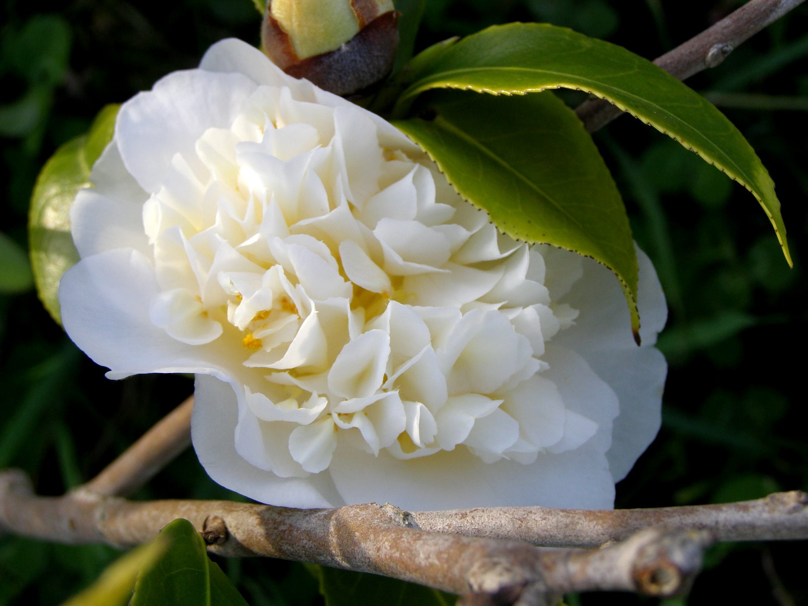 [PC120008.JPG]