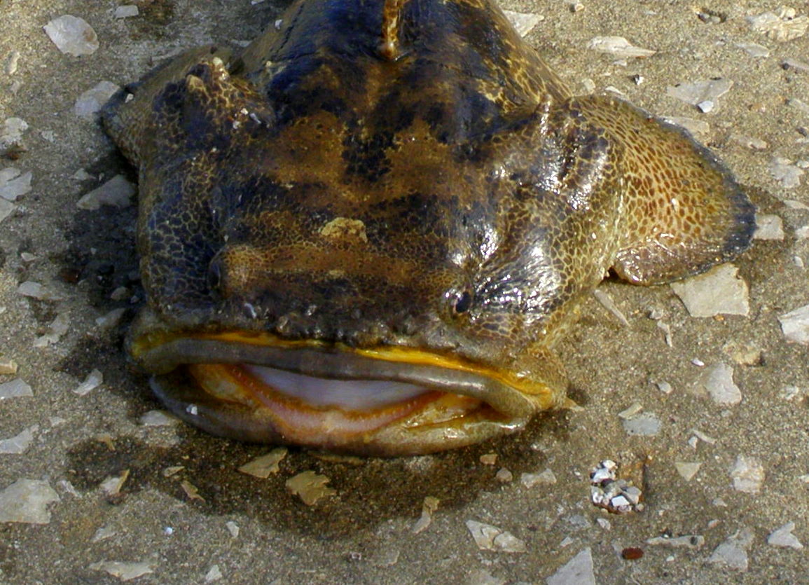 [P3100109-1.JPG]