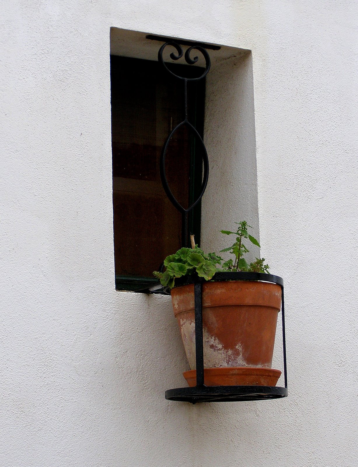 [P4160159-1.JPG]