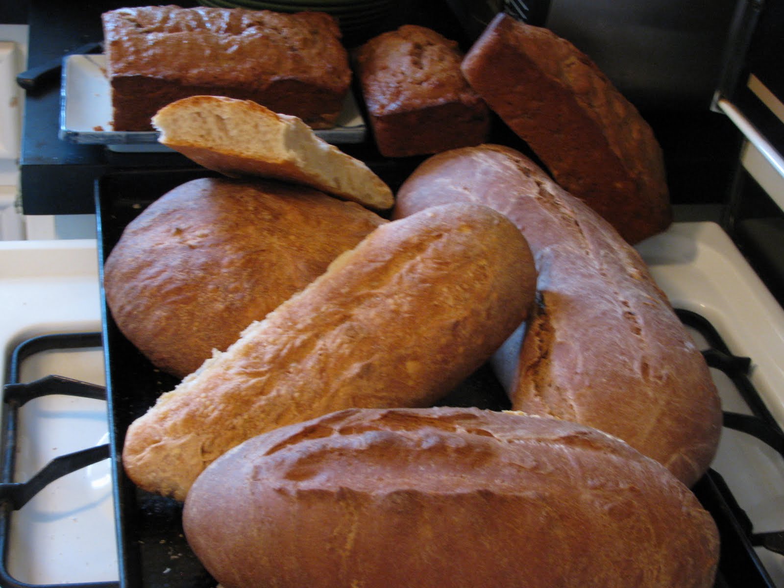 [2010+Jan+bread+1.JPG]