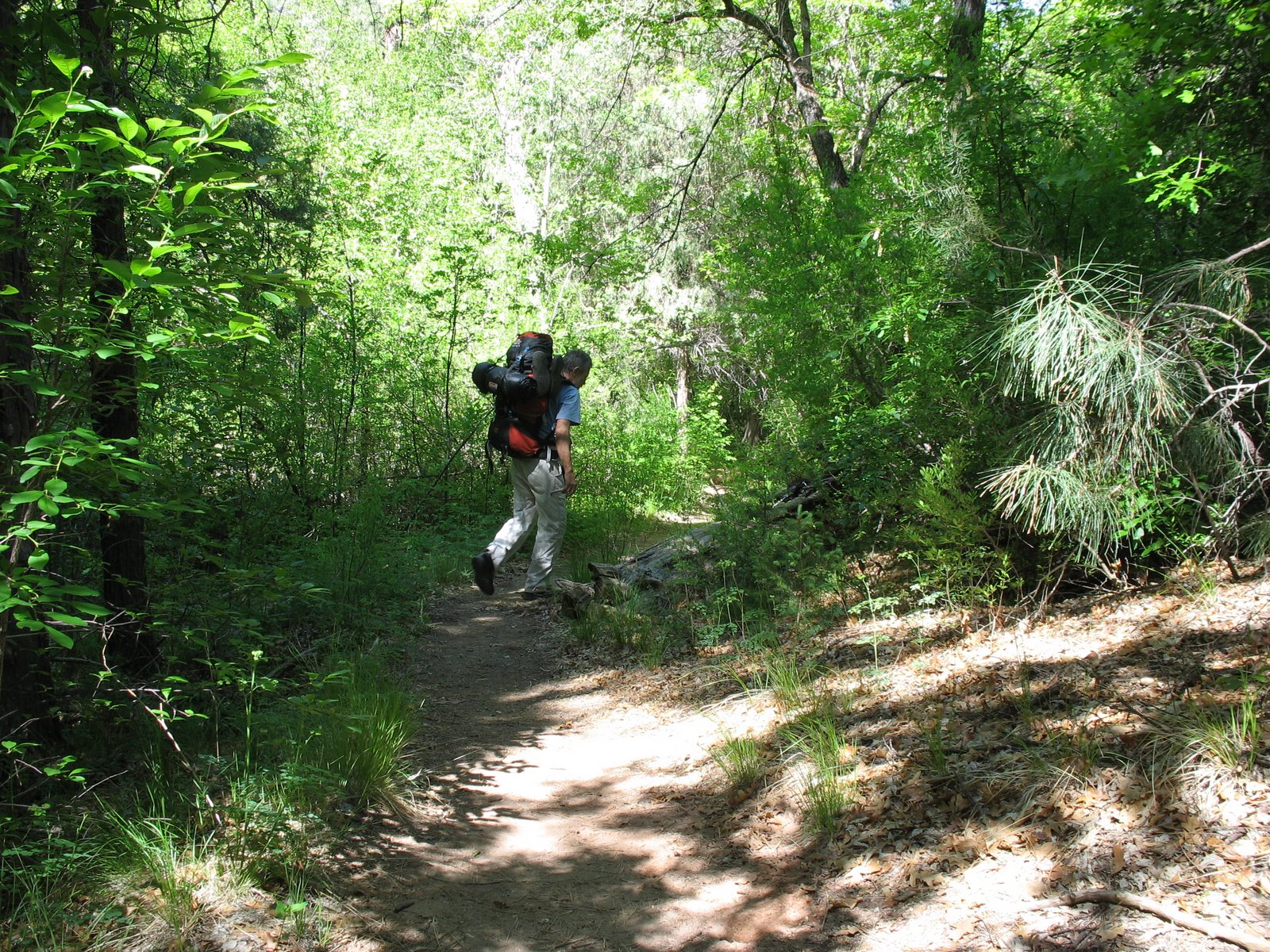 [Bandelier+trail1.jpg]