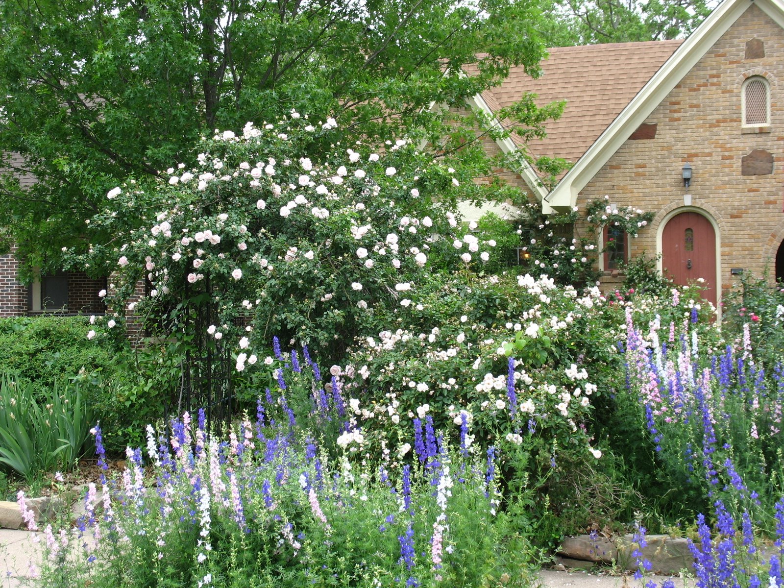 [2009+garden+4.1.JPG]