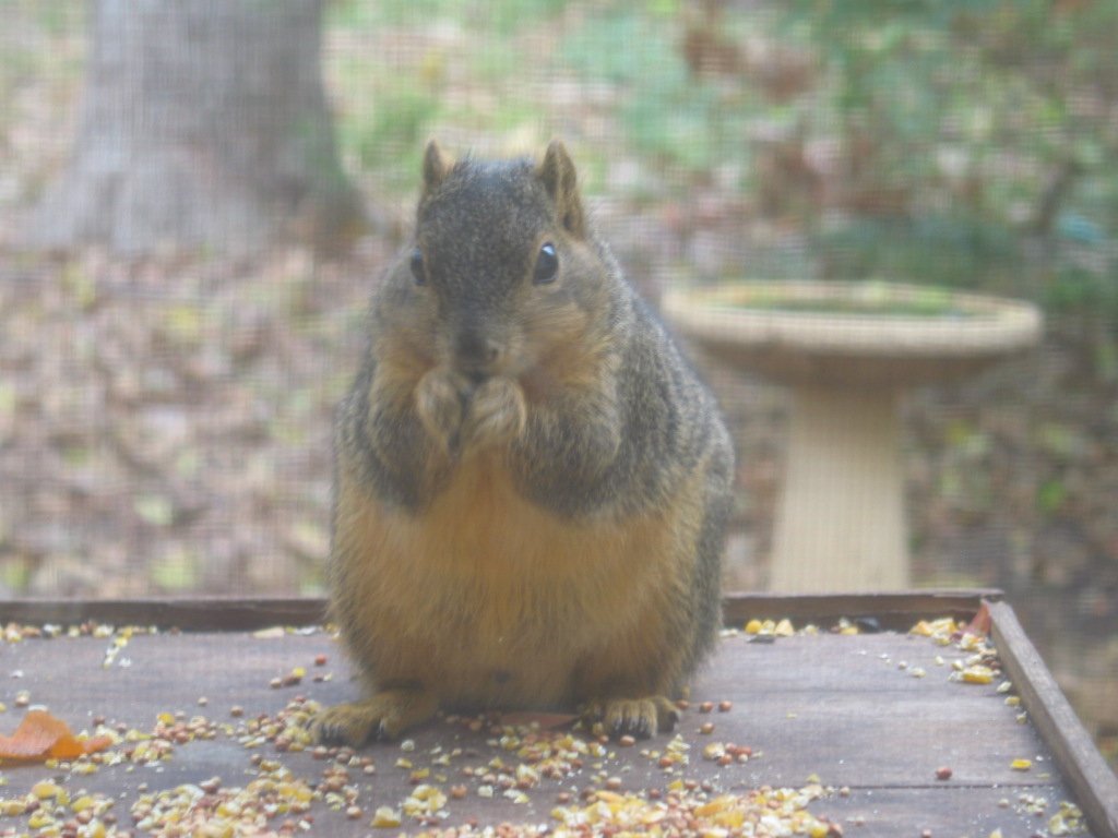 [Chubby+2006.jpg]