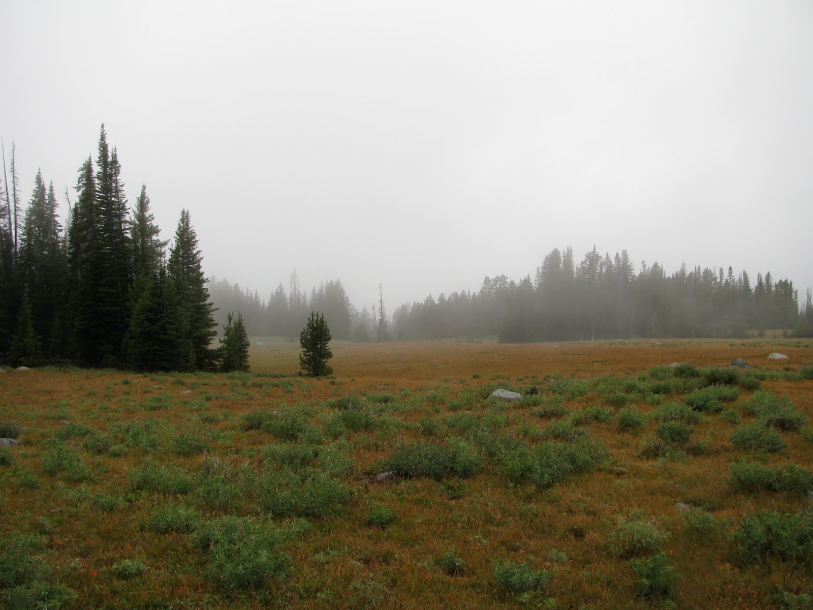 [Wind+Rivers+2009+north+1.JPG]