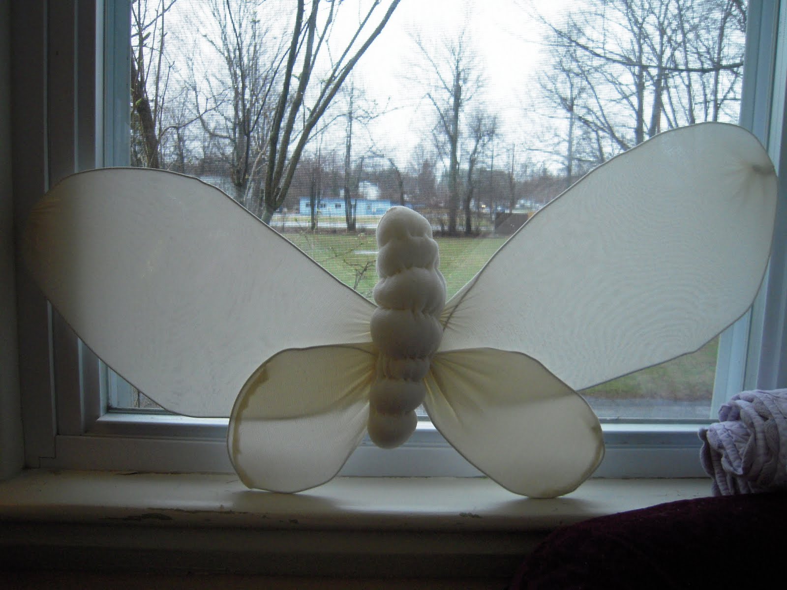 Marvelously Messy Blue Morpho Butterfly Craft