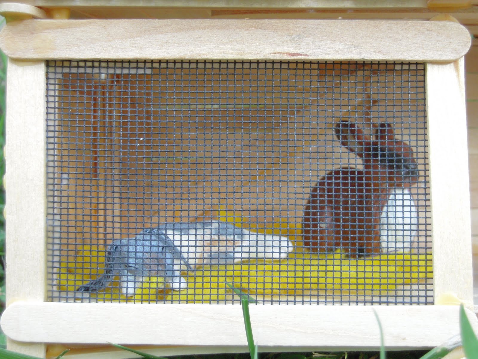 Marvelously Messy Rabbit Hutch