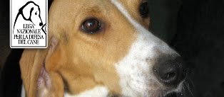 LEGA NAZIONALE PER LA DIFESA DEL CANE (L.N.D.C.)  - SEZ. SALERNO