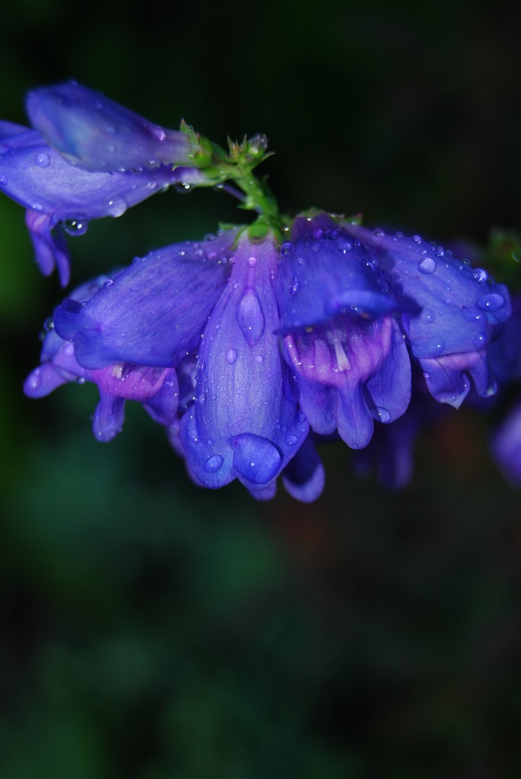 [DSC_0259.JPG]