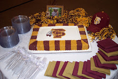 Florida State Univ Groom's cake