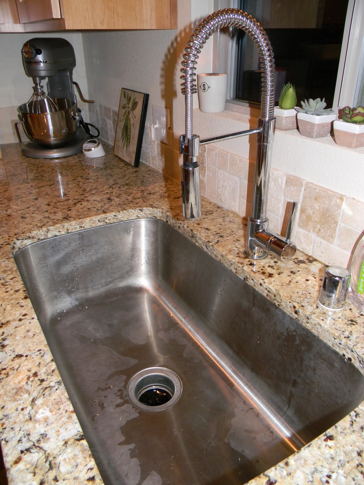 Remodeling the Kitchen Schue Love