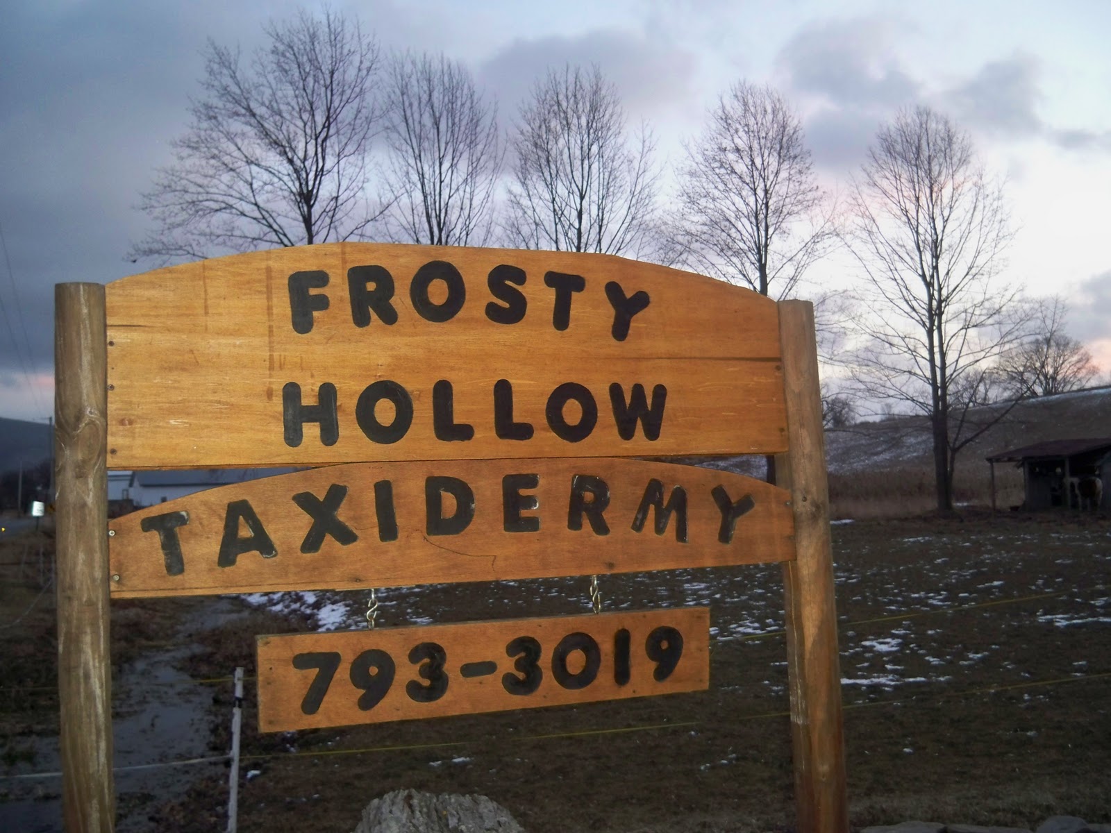 Frosty Hollow Taxidermy About Frosty Hollow Taxidermy