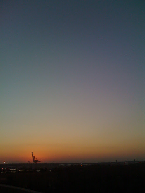 typical savannah evening