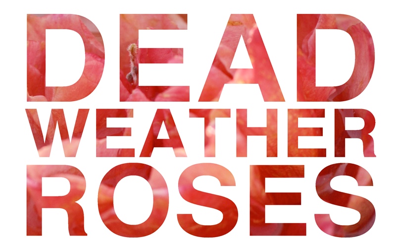 Dead Weather Roses