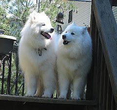 Evelyn (age 2) and Jezebel (age 7) 2008