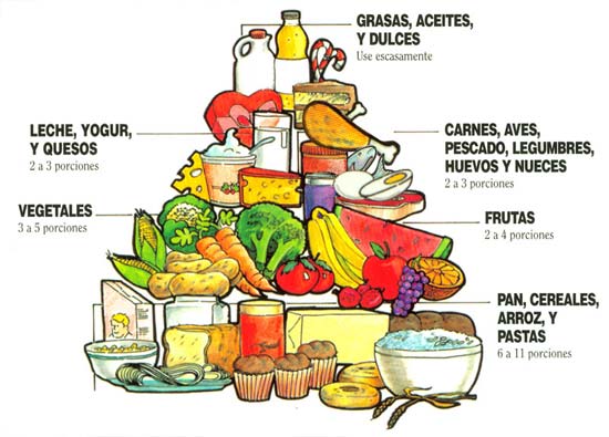 [piramide-nutricional.jpg]