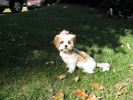 I'm 5.6 lbs. of pretty