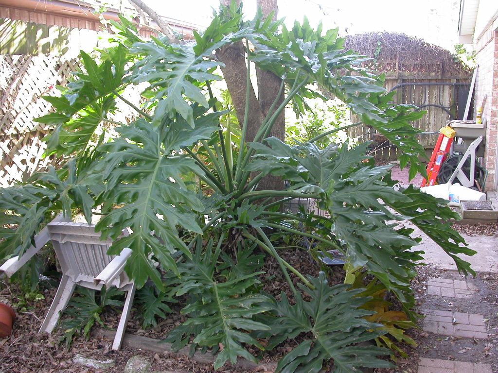 [DSCN6572.JPG]