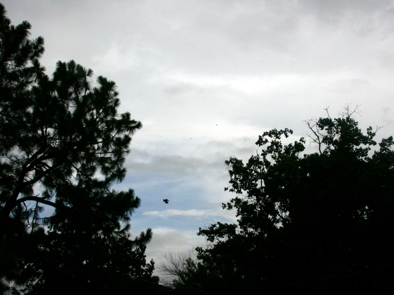 [DSCN1236-2.JPG]