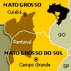 O espaço do Pantanal