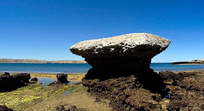 Marea Baja en Península Valdés Marea Baja en Península Valdés