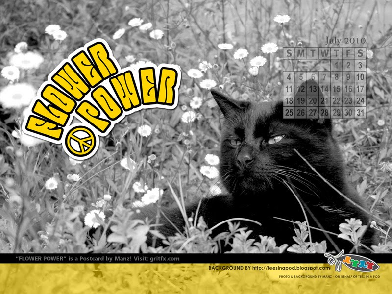 FREE Flower Power June Desktop Background