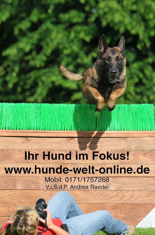 Hunde-welt-online.de