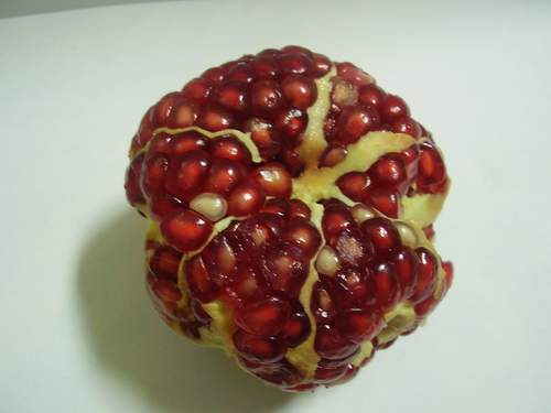 [romÃ£_descacada_peq.JPG]