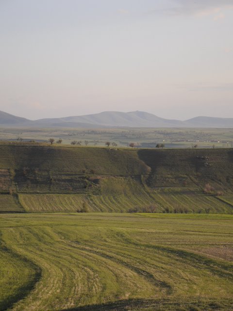 [_SSC0674.JPG]