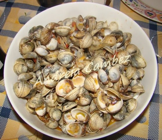 [DSC01495.JPG]
