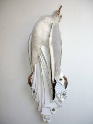 jane howarth