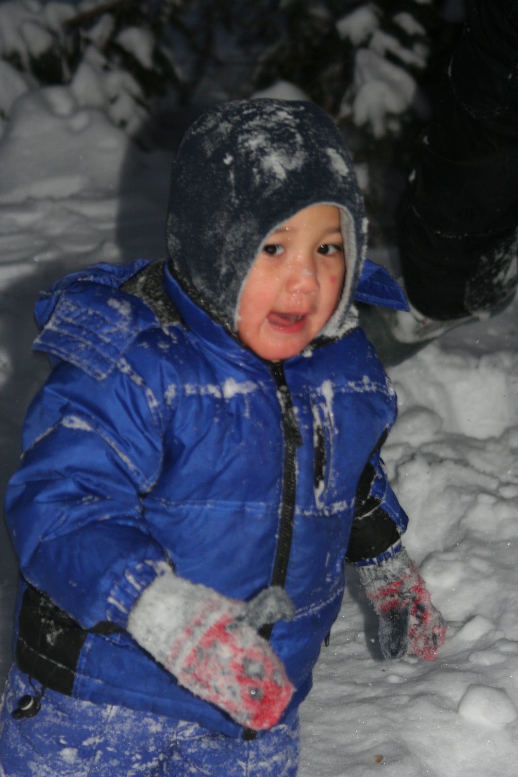 [IMG_4151.JPG]
