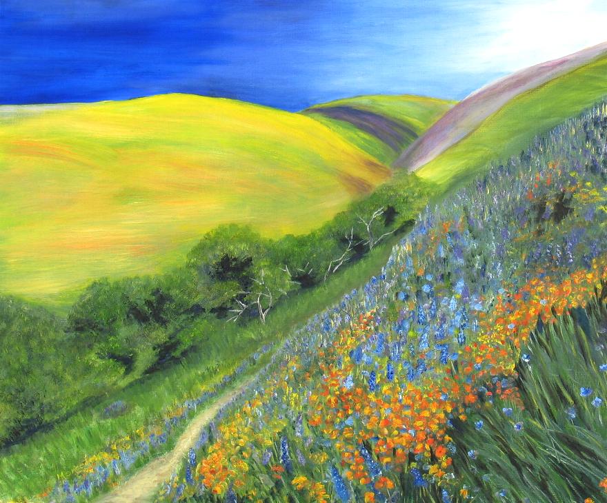 [field.jpg]