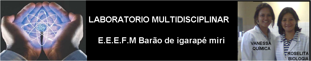 Laboratório multidisciplinar do B.I.M.