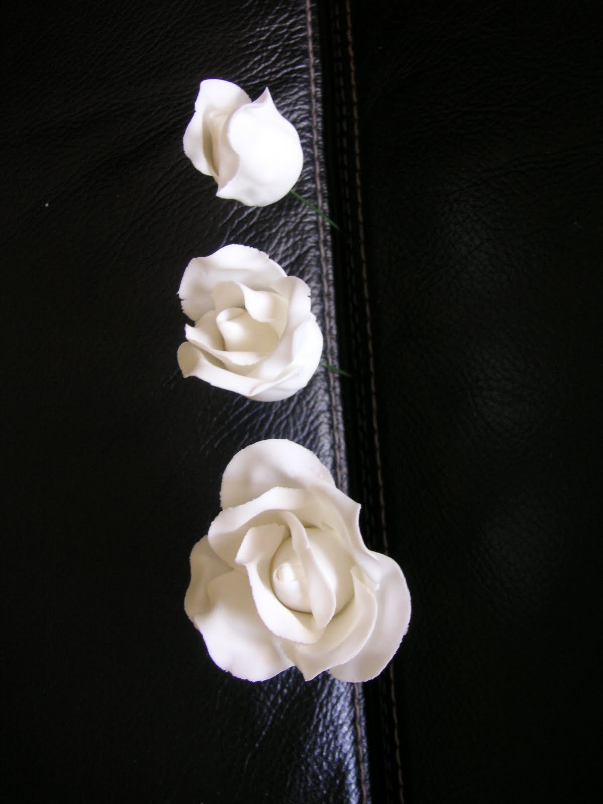 [PICT0040.JPG]