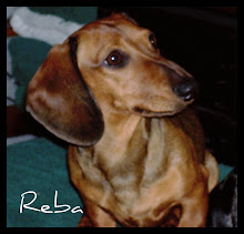 REBA 12/31/2005