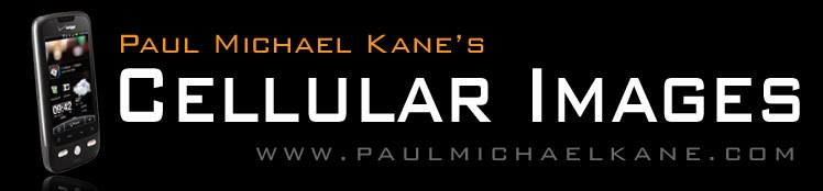 PMK's Cellular Images
