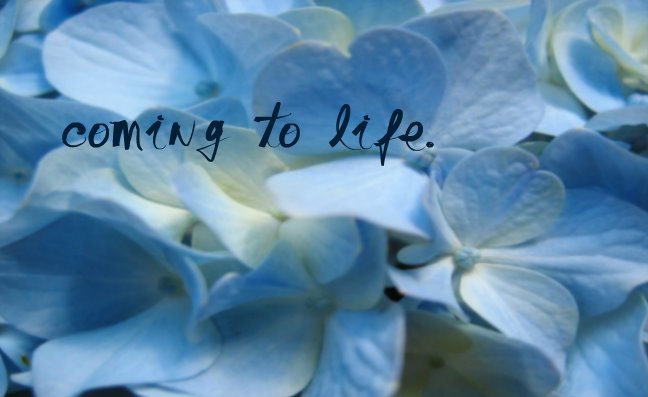 coming to life.