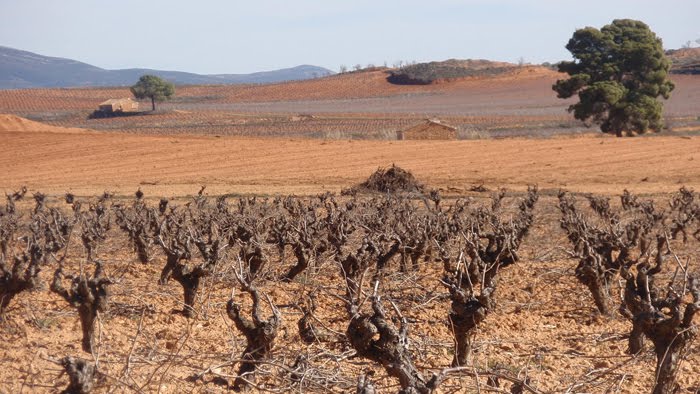 [requena+spain+3.jpg]